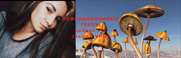 прущая мука Абинск