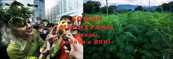 бошки Саяногорск