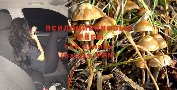 прущая мука Абаза