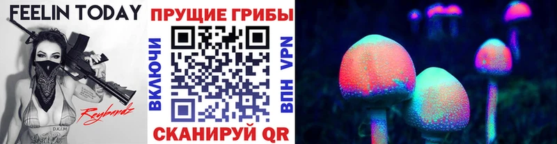 Галлюциногенные грибы мицелий shop официальный сайт Кировград